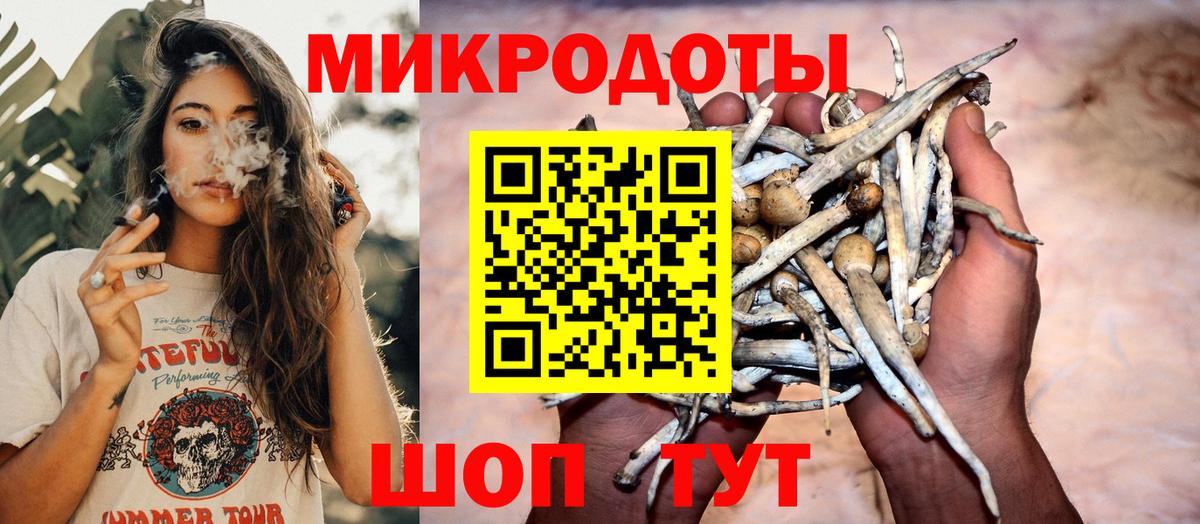 Псилоцибиновые грибы GOLDEN TEACHER Гуково