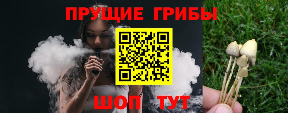 Галлюциногенные грибы Cubensis  Вход с VPN  Гуково 